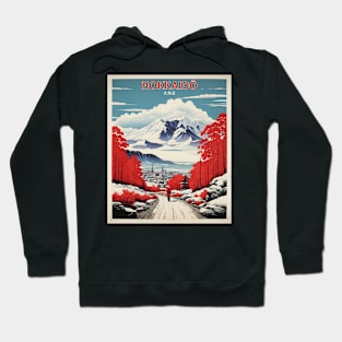 Hokkaido Japan Travel Vintage Tourism Poster Hoodie